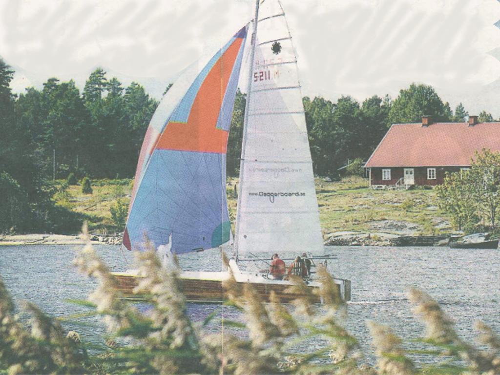 2004spinnaker.jpg