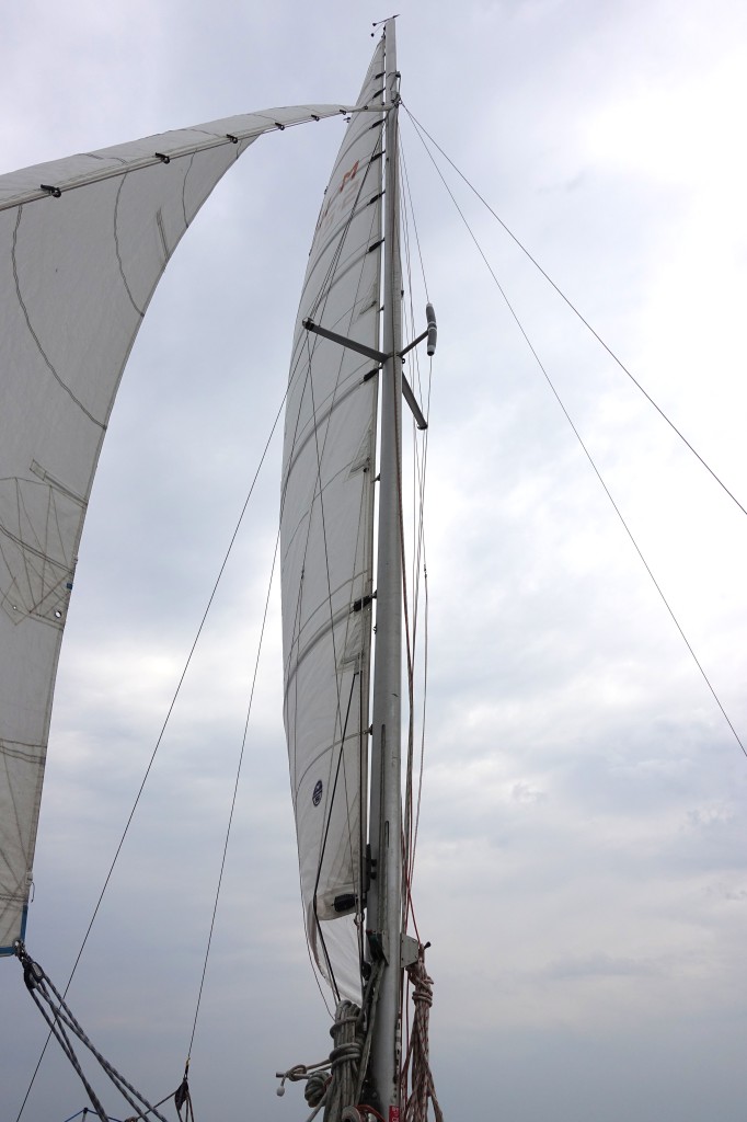 2021sail1.jpg