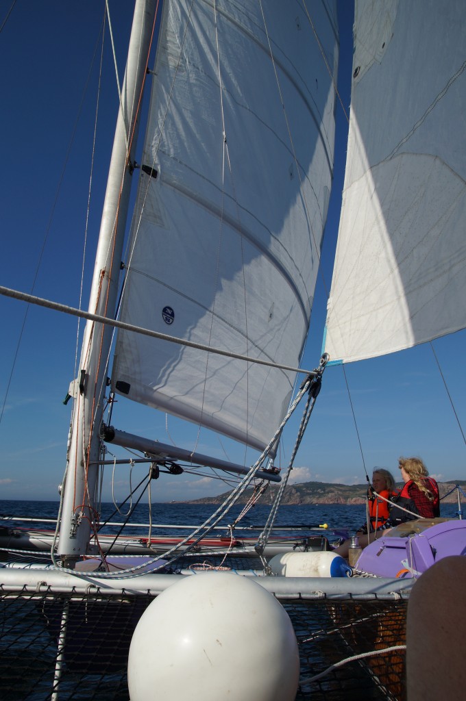 2013sailing7.jpg