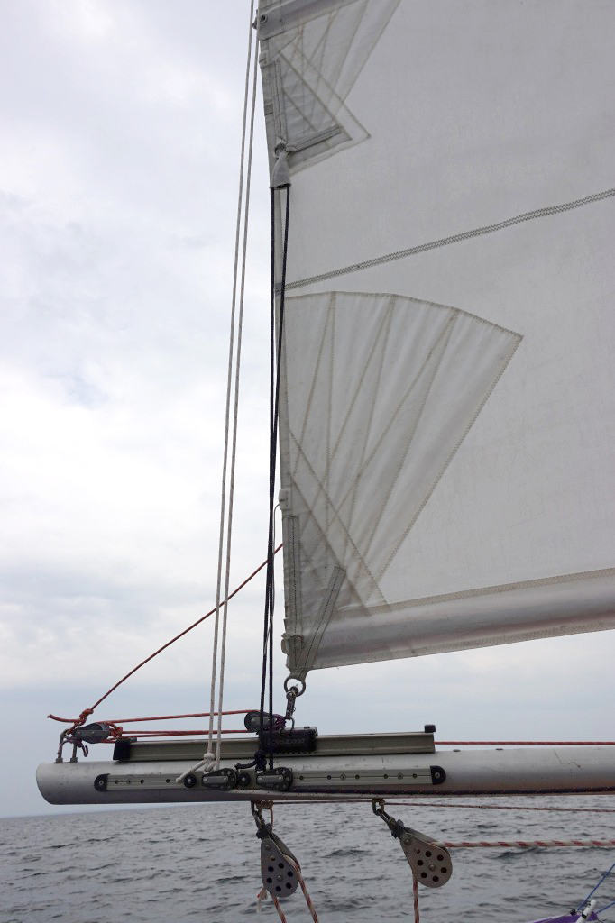 2021sail3.jpg